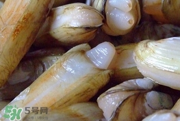 蟶子是海鮮嗎？蟶子是海鮮還是河鮮