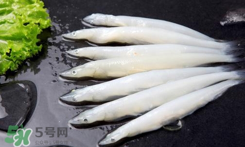 面條魚(yú)有刺嗎？面條魚(yú)有鱗嗎