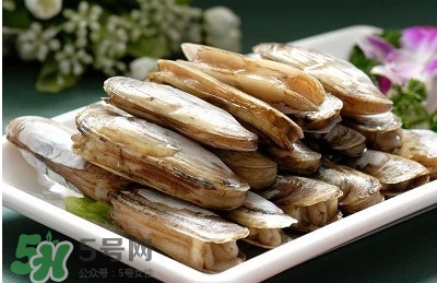 蟶子是海鮮嗎？蟶子是海鮮還是河鮮