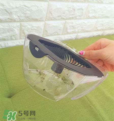 inadays滅蚊燈有用嗎？inadays滅蚊燈有效果嗎？