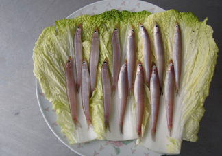 青島面條魚是什么魚？青島面條魚叫什么