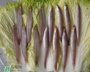 青島面條魚是什么魚？青島面條魚叫什么