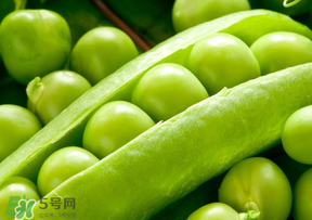 豌豆能放在冰箱嗎？豌豆放冰箱怎么保存？