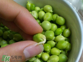 新鮮豌豆發(fā)芽了能吃嗎？豌豆發(fā)芽了還能吃嗎？
