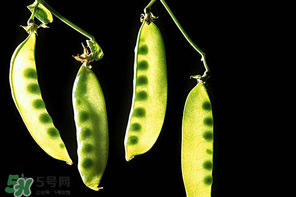 嫩豌豆能生吃嗎？為什么嫩豌豆可以生吃？