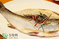 白條魚(yú)怎么做好吃？白條魚(yú)怎么吃好吃