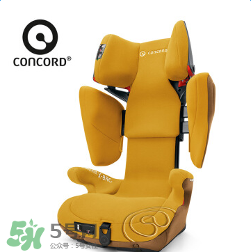 concord中文是什么？concord的中文名字怎么翻譯？
