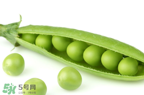 生豌豆有毒嗎？豌豆生吃有毒嗎？