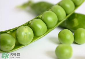 生豌豆有毒嗎？豌豆生吃有毒嗎？