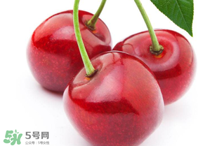 新鮮櫻桃如何保存？新鮮櫻桃能放多久？