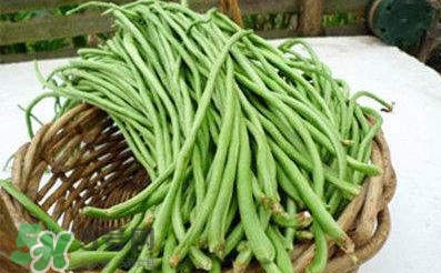 缸豆是豆角嗎？缸豆和豆角有什么區(qū)別