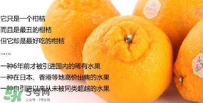 丑八怪是轉(zhuǎn)基因水果嗎？丑八怪是不是轉(zhuǎn)基因