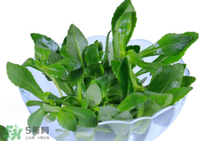 救心菜有毒嗎？救心菜怎么吃沒(méi)毒？