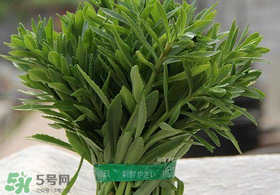 救心菜有毒嗎？救心菜怎么吃沒(méi)毒？