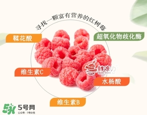 樹莓可以生吃嗎？樹莓怎么吃？
