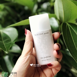 蘇菲娜白蕾絲多少錢？蘇菲娜白蕾絲日本價格