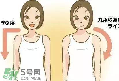 天鵝臂是什么？天鵝臂有用嗎