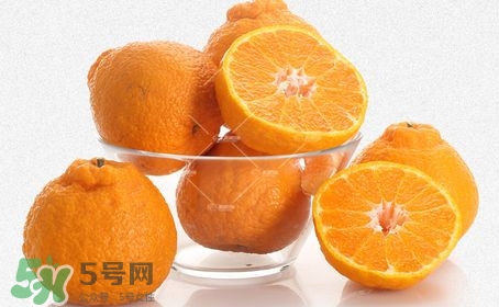 丑八怪是橙子嗎？丑八怪是不是橙子