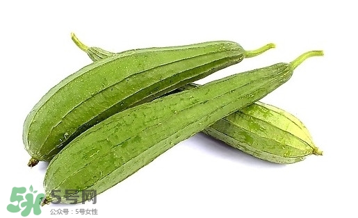 孕婦能吃絲瓜嗎？孕婦能不能吃絲瓜