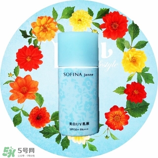 蘇菲娜藍(lán)蕾絲和藍(lán)小花哪個(gè)好？蘇菲娜藍(lán)蕾絲和藍(lán)小花對比