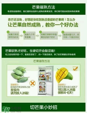 貴妃芒果硬的能吃嗎？貴妃芒果青的能吃嗎