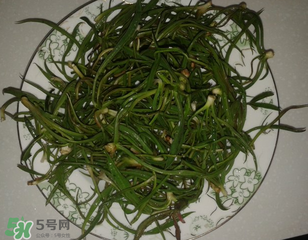 陽溝菜孕婦可以吃嗎？孕婦能吃陽溝菜嗎？