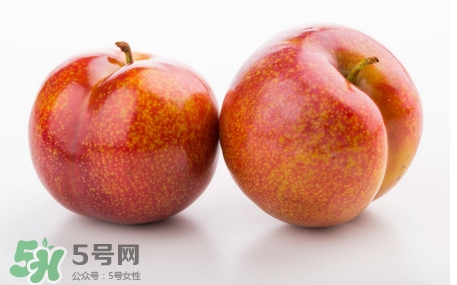 三華李孕婦可以吃嗎？三華李孕婦能吃嗎