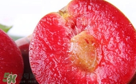 三華李是哪里的特產(chǎn)？三華李的產(chǎn)地是哪兒
