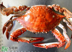 六月份有螃蟹嗎？六月份吃什么螃蟹？