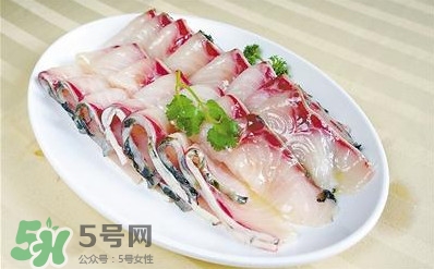 生魚是什么魚？生魚片是什么魚