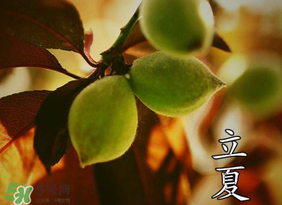 立夏吃什么水果？立夏吃什么水果好？