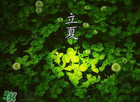 立夏吃什么水果？立夏吃什么水果好？