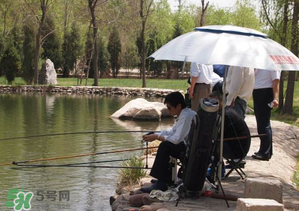 立夏好釣魚(yú)嗎？立夏怎么釣魚(yú)？