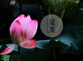 立夏和夏至有什么區(qū)別？立夏和夏至的區(qū)別