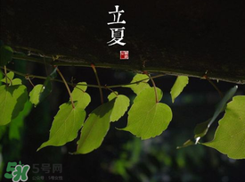 2017年立夏會(huì)下雨嗎？2017年立夏下雨好嗎？