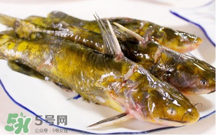 嘎魚孕婦能吃嗎？孕婦可以吃嘎魚嗎