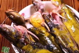 嘎魚孕婦能吃嗎？孕婦可以吃嘎魚嗎
