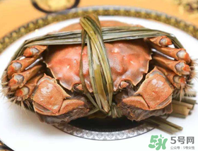 五月份有大閘蟹嗎？五月份的大閘蟹能吃嗎？