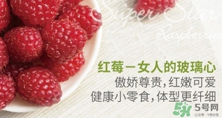 樹莓可以放冰箱嗎？樹莓可以保存幾天