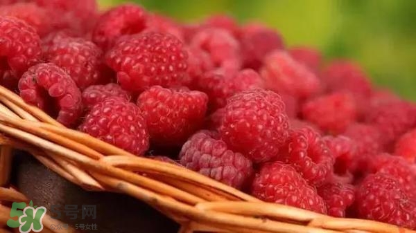 樹莓可以直接吃嗎？樹莓里的小籽能吃嗎？