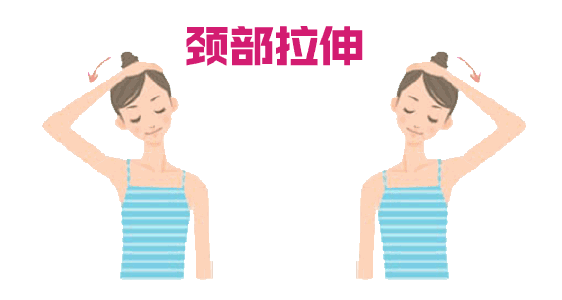 天鵝頸是什么樣的？天鵝頸怎么練？