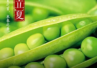 立夏吃什么好？立夏吃什么蔬菜？