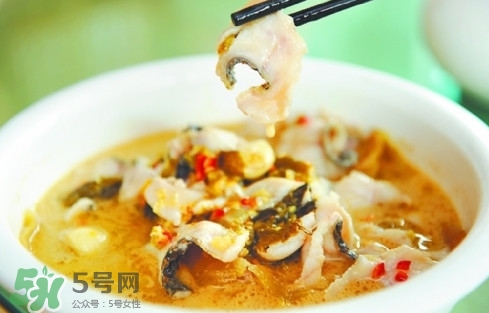 黑魚是發(fā)物嗎？黑魚是不是發(fā)物