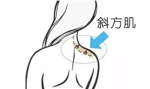 天鵝頸是什么樣的？天鵝頸怎么練？