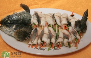 生魚是什么魚？生魚片是什么魚