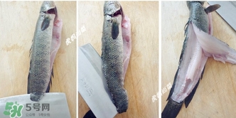 黑魚(yú)怎么切片？黑魚(yú)如何切魚(yú)片