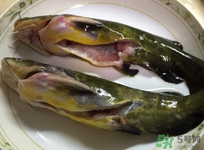 嘎魚是鯰魚嗎？嘎魚是黃辣丁嗎