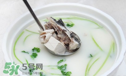 生魚(yú)怎么做好吃？生魚(yú)湯的做法和功效