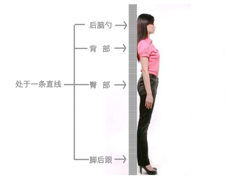 天鵝頸是什么樣的？天鵝頸怎么練？