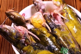 嘎魚是鯰魚嗎？嘎魚是黃辣丁嗎